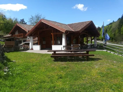 Passeggiata a Cavallo nelle Dolomiti di Brenta: Sentieri e Dolce Merenda in Rifugio 2